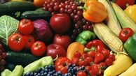 صادرات محصولات فرآوری شده گیاهی