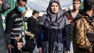  "دارکوب" را بهتر بشناسید