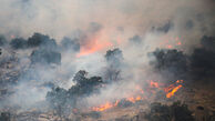 تبعات آتش‌سوزی نقطه‌ای در جنگل‌ها و مراتع
