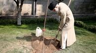 رهبر معظم انقلاب دو اصله نهال میوه کاشتند