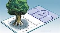 بغض درخت در گلو مانده؛ آزادش کنید
