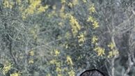 عکس جدید یکتا ناصر در فضای مجازی + عکس
