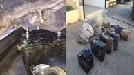 کشف دستگاه جاسوسی صهیونیست ها درکوه