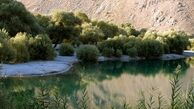 مرگ تدریجی تنها بانک ژنی زاگرس