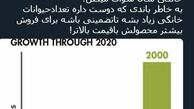 توئیتر::آیا سلبریتی‌ها با واردکنندگان غذای دام ارتباط دارند؟