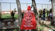 رویانیان و پیشکسوتان خواهان خرید سهام پرسپولیس