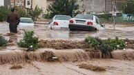 بارش برف و باران در ۲۰ استان/ هموطنان تا فردا از سفر‌های غیرضروری پرهیز کنند