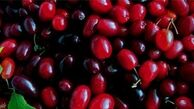 خواندنی های جالب درباره ذغال اخته
