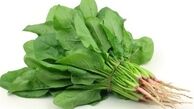 گیاهی سحر آمیز برای تقویت سیستم ایمنی بدن