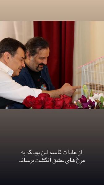 مرغ عشق مهراب قاسم خانی + عکس