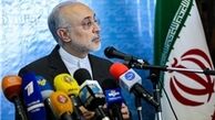 صالحی: اگر اجازه مذاکره با آمریکا را نداشتیم به برجام نمی‌رسیدیم
