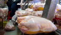 قیمت مرغ دو برابر شد !
