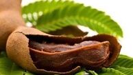 با تمبر هندی و آلوچه چربی بسوزانید