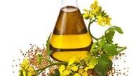 روغن کانولا چطور به دست می آید؟