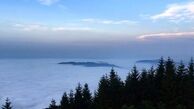 شعر زیبای پردیس احمدیه برای مولا علی(ع)