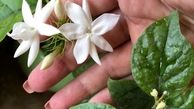 مهربانی الهام پاوه نژاد با همه موجودات زنده
