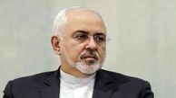 ظریف خواستار ایجاد کانال بانکی برای تسهیل مراودات تجاری بین ایران و برزیل شد