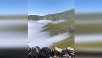 آشنایی با رؤیایی‌ترین جاده جنگلی ایران+ فیلم 