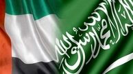 افزایش اختلافات امارات و عربستان درباره یمن