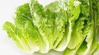 مغز کاهو را بخوریم یا نخوریم؟ !