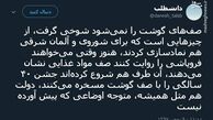توئیتر:صف‌های گوشت نماد است!