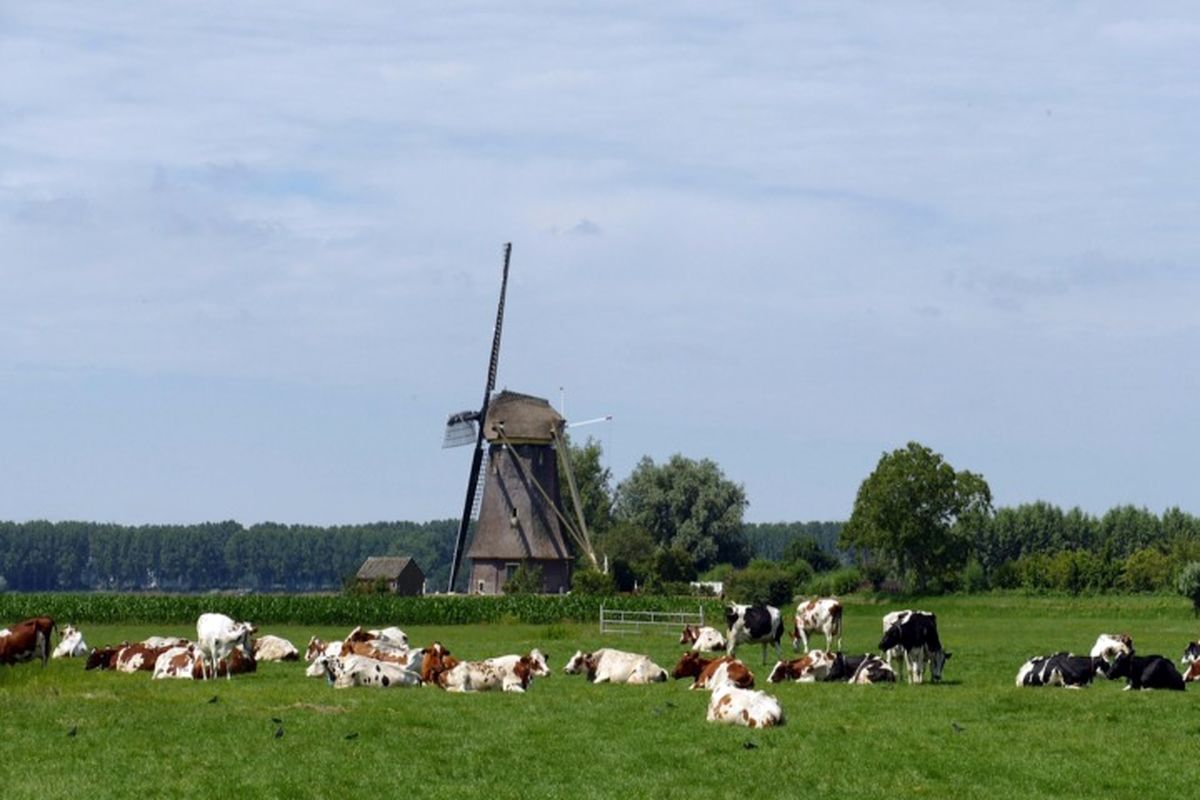 هزینه سفر به هلند بدون تور: راهنمای کامل بودجه‌بندی