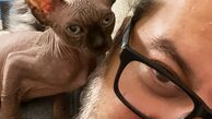 گربه های خاص آقای نویسنده روی شونه اش + عکس
