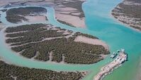 تصویری فوق العاده از جنگل‌ های شگفت انگیز حرا