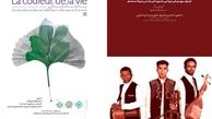 استادان زبان فارسی از 12 کشور جهان در  دوره دانش افزایی بنیاد سعدی