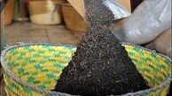 فروش چای مصرف گذشته با طعم اسانس 