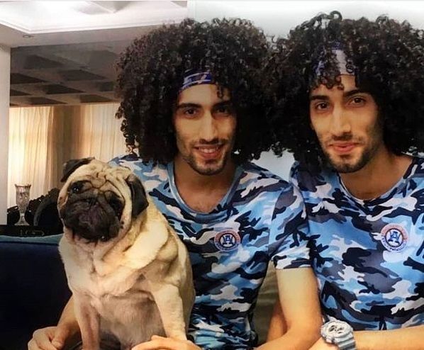 سگ بامزه دوقلوهای پایتخت + عکس