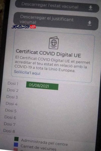 تصویری عجیب از گذرنامه‌های کرونایی شهروندان اروپایی