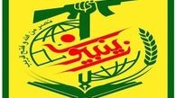 زندگی‌نامه و خاطرات شهدای زینبیون کتاب می‌شود