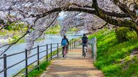 شهر کیوتو و جاهای دیدنی آن