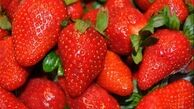 ۵ خوراکی مفید برای حل فراموشی