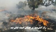 راز آتش‌سوزی جنگل الیت فاش شد ؛ چرا الیت خاموش نمی‌شود ؟