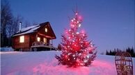 گران‌‌ترین درخت کریسمس تاریخ +تصاویر