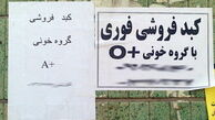" کبدفروشی" ، دوئل مرگ و آبرو…