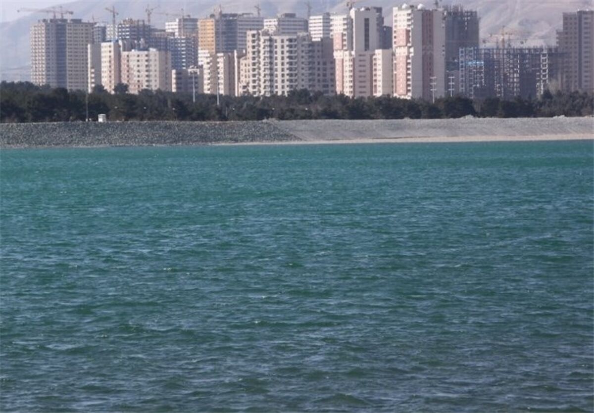 ماهی سرسوسماری در دریاچه چیتگر+فیلم