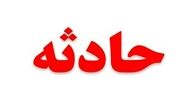 جزئیات تصادف قطار با پلنگ در فیروزکوه