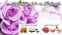 زمانی که گل هدیه می دهید مردم شما را فردی جذاب تر و باهوش تر می بینند!