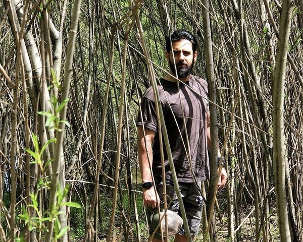 امیرحسین آرمان در میان انبوهی از درختان + عکس