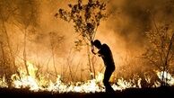 3 تا 12 ماه حبس در صورت آتش زدن تنه درختان جنگلی