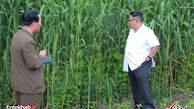 سرکشی رهبر کره شمالی به مزارع کشاورزی 