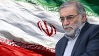 سکوت خیانت‌بار سلبریتی‌ها در برابر ترور دانشمند هسته‌ای