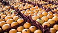 دم خروس را باور کنیم یا سخن آقای وزیر را!