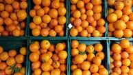 واردات پرتقال شب عید ضروری است