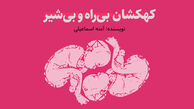 داستان‌ دنباله‌دار «کهکشان بی‌راه و بی‌شیر»