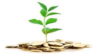 سرازیر شدن ملایم نقدینگی به بورس