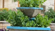 حیاط زیبا خانه مادربزرگ لیندا کیانی + عکس